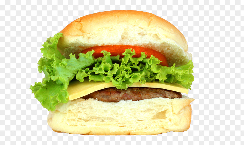 X-SALADA Cheeseburger Hamburger Fast Food Buffalo Burger Whopper PNG