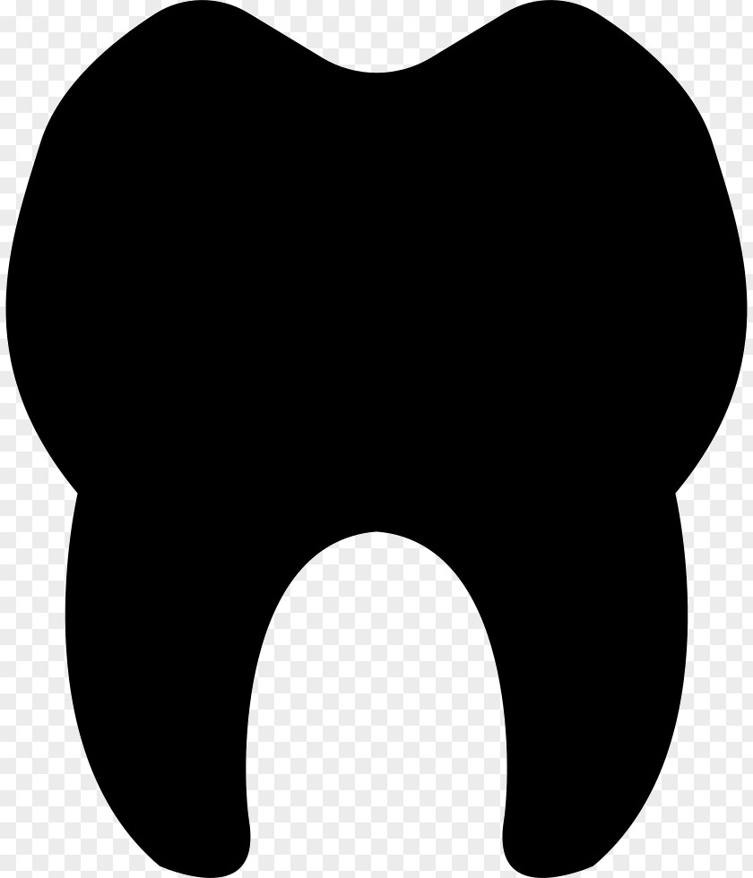 Teeth Arrow Human Tooth Deciduous Clip Art PNG