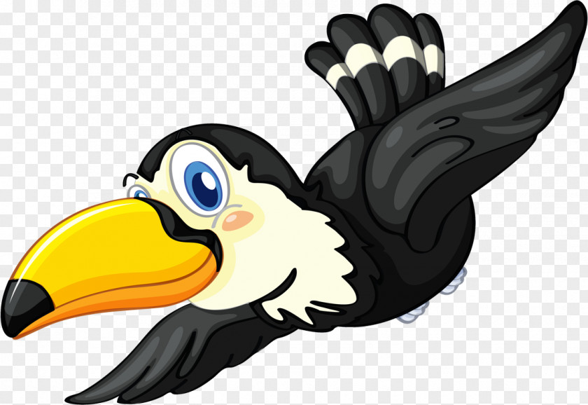 TUCAN Coloring Book Drawing PNG