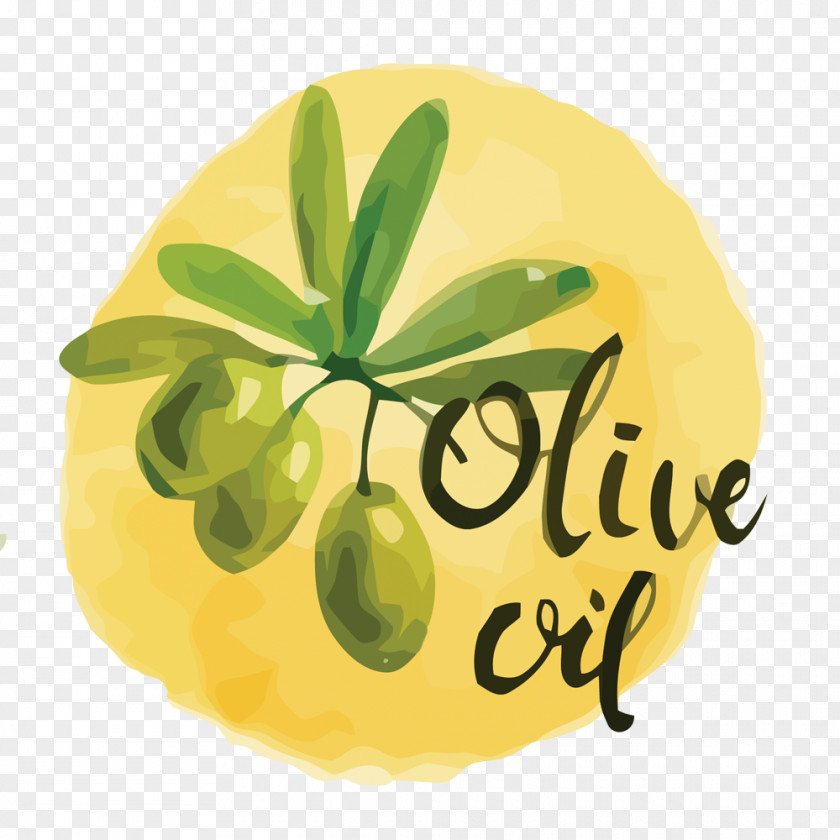 Vector Painted Olive Material Oil Bottle PNG