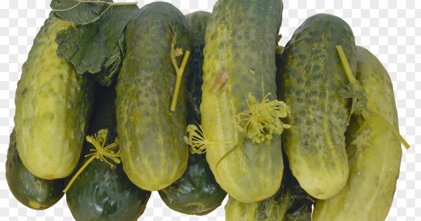 Cucumber Pickled Pickling Vegetable Salting PNG