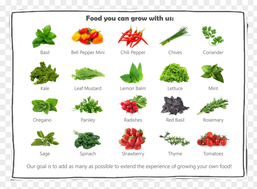 Enjoy Your Meal Does This Feel Familiar? Garden Gnome Food Plant PNG