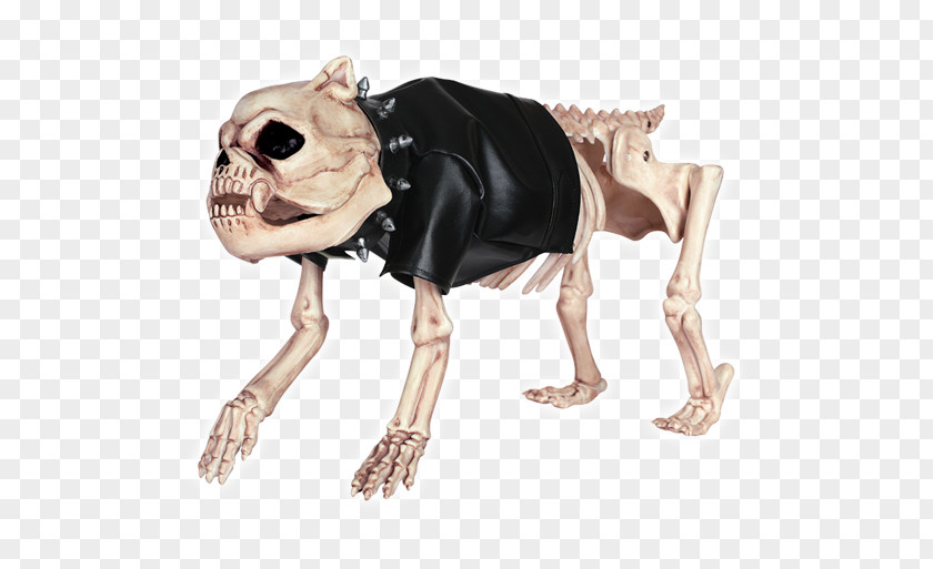 Skeleton Dress Crazy Bonez Dog Up Kit Beagle PNG