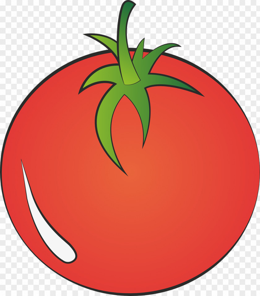 Tomato Clip Art Openclipart Image PNG
