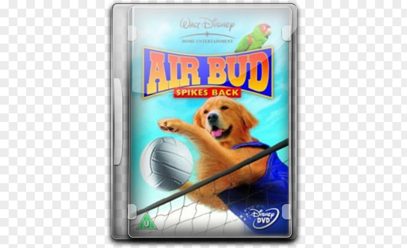 Air Bud V4 Dog Crossbreeds Carnivoran Vertebrate PNG