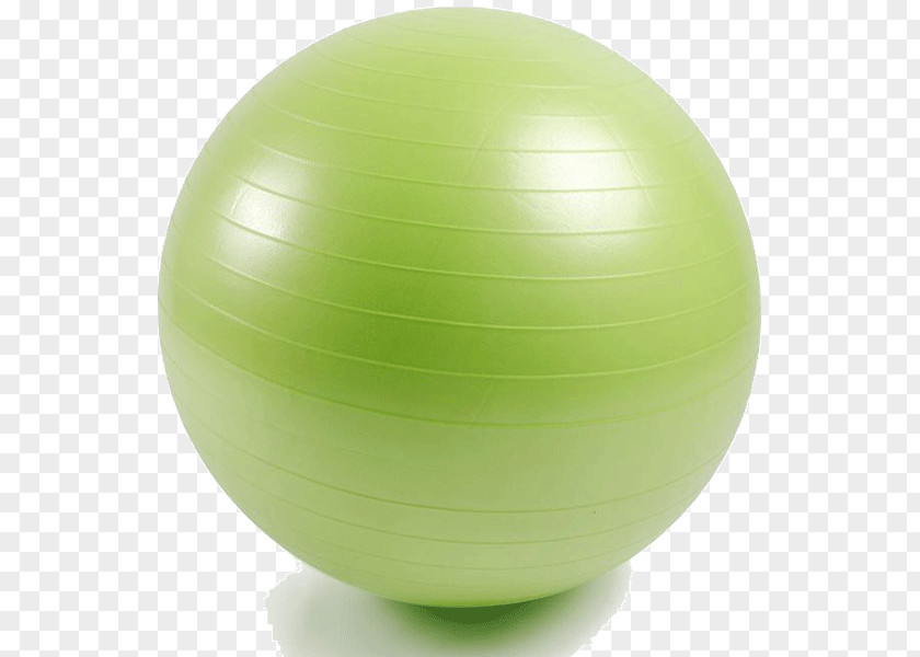 Ball Exercise Balls Physical Fitness Equipment Centre PNG