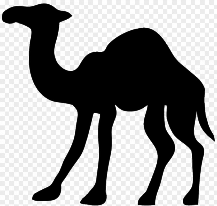 Camel Silhouette Clip Art PNG