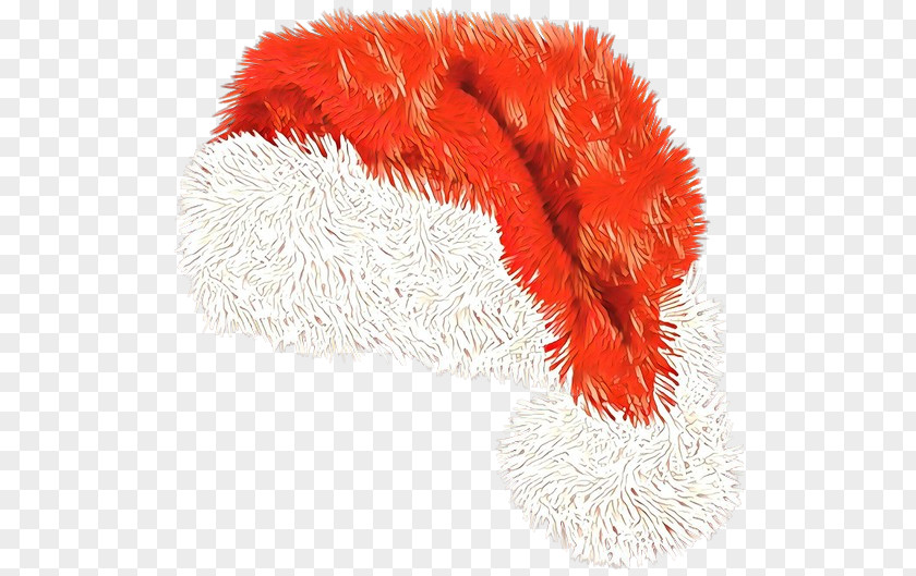 Feather Cat Toy PNG