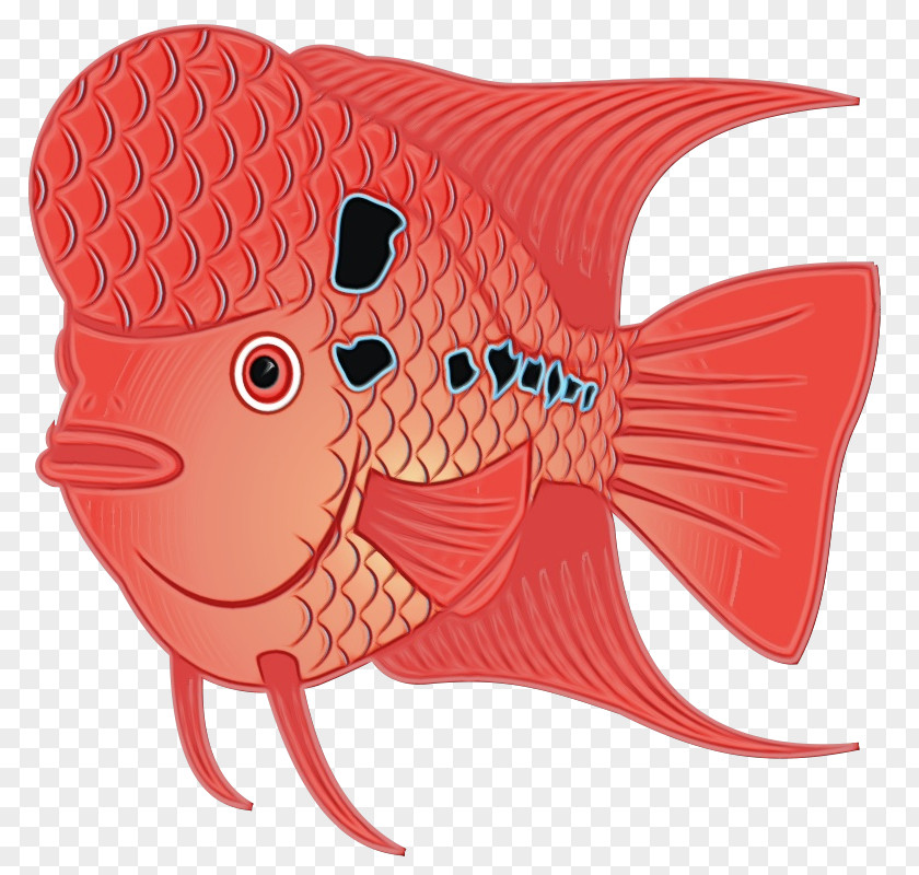 Goldfish Pink Cartoon Fish PNG