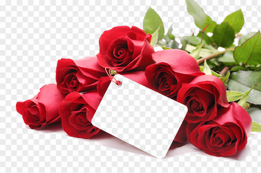 Mothers Day Valentine's Propose Love Gift February 14 PNG
