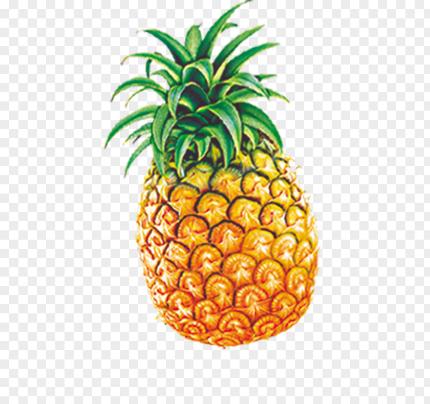 Pineapple Ice Cream Juice Nectar Fruit PNG