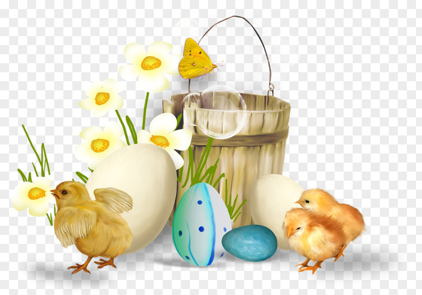 Easter Egg PNG