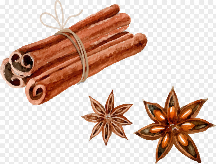 Vector Hand-painted Perfume Euclidean Watercolor Painting Star Anise PNG