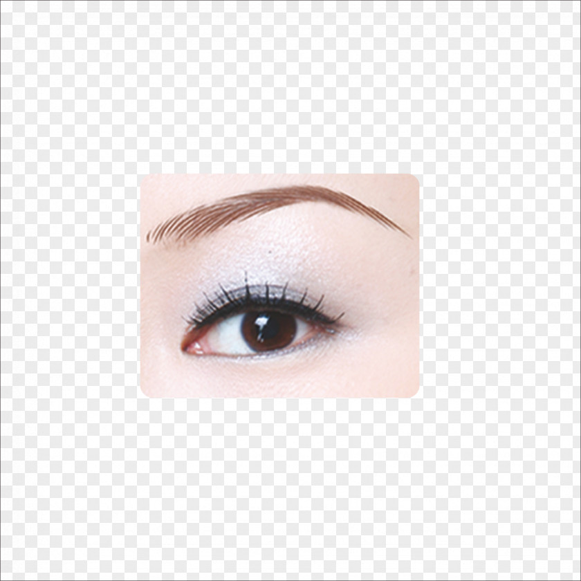 Eyebrow Eyelash Extensions PNG