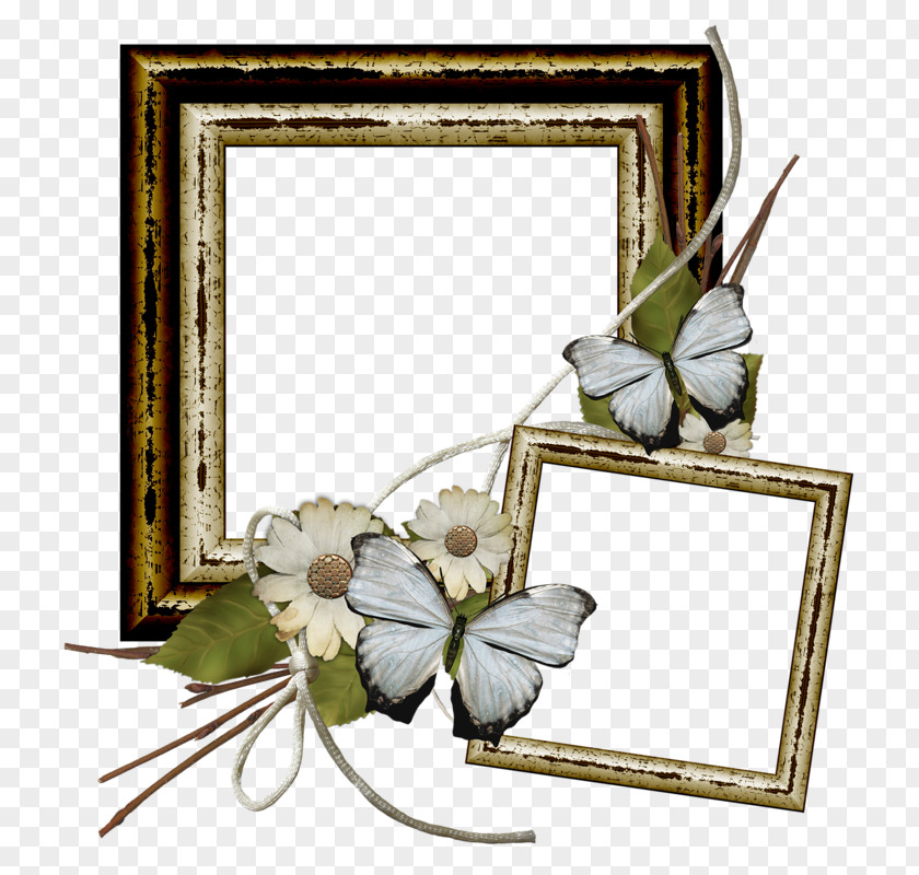 Mom Frame Floral Design Picture Frames Flower PNG