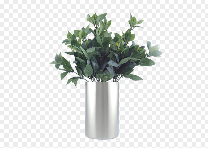 Plants Vase Interior Design Services PNG