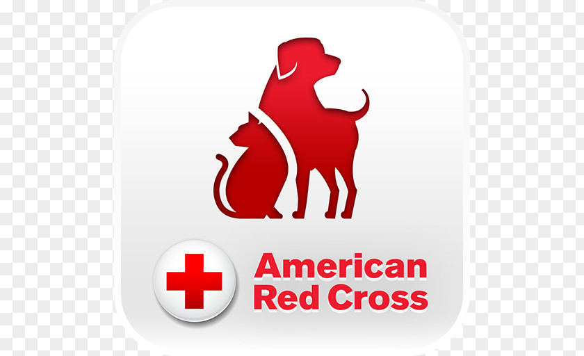 Red Cross Images American Pet First Aid Emergency PNG