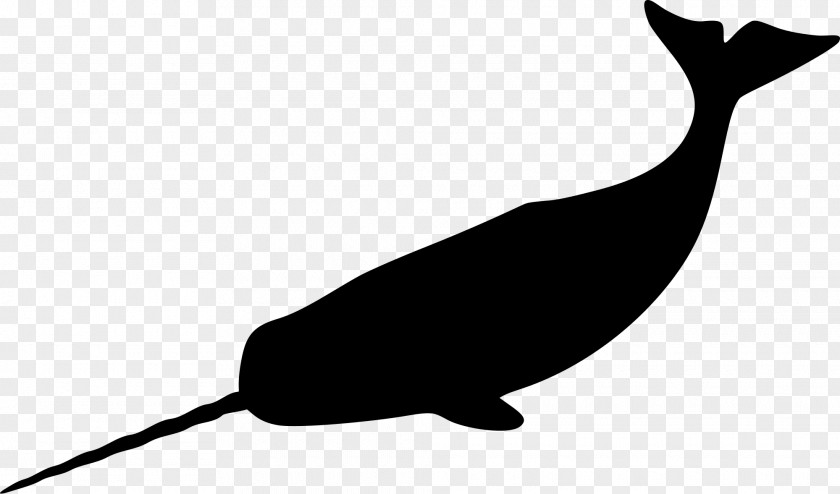 Rib Clipart Narwhal Silhouette Whale Clip Art PNG