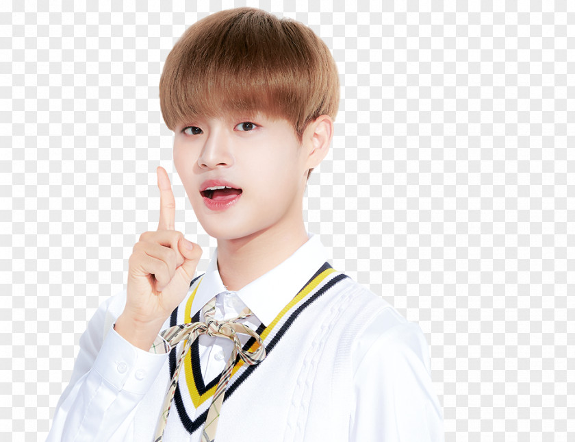 Wanna One Lee Dae-hwi Produce 101 1X1=1 (To Be One) PNG
