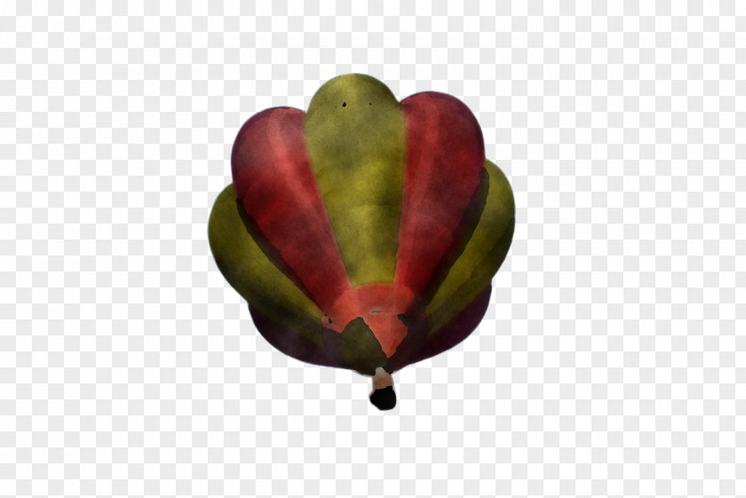 Bud Hot Air Balloon PNG