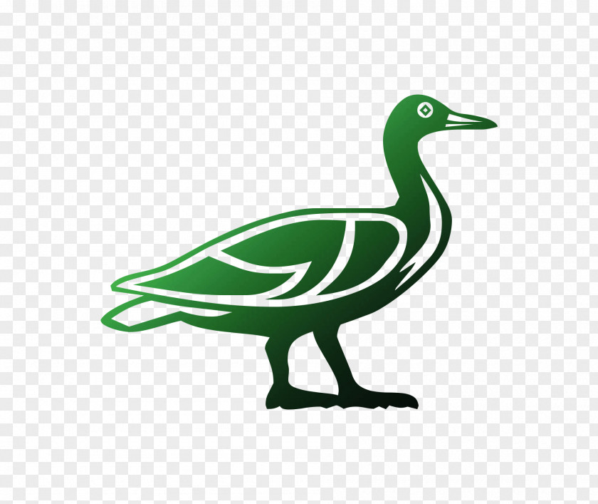 Clip Art Fauna Beak Feather PNG