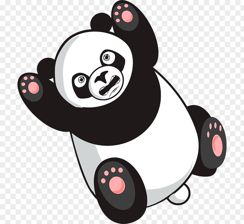 Giant Panda Raiola Manda Y No El GTalkr Internet Computer PNG