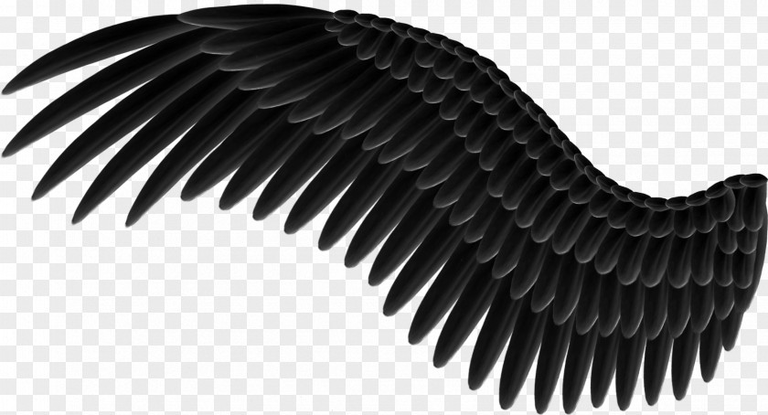 Wings Clip Art PNG