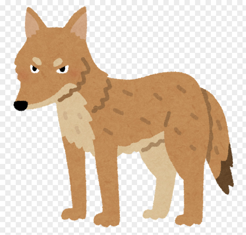 Dog Coyote Search Engine Optimization Dhole Red Fox PNG