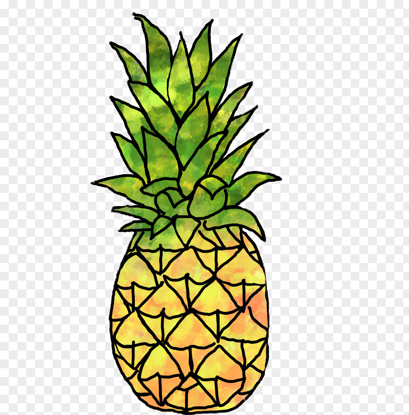 Pinapples Symbol Austin Pineapple Photograph Instagram Clip Art PNG