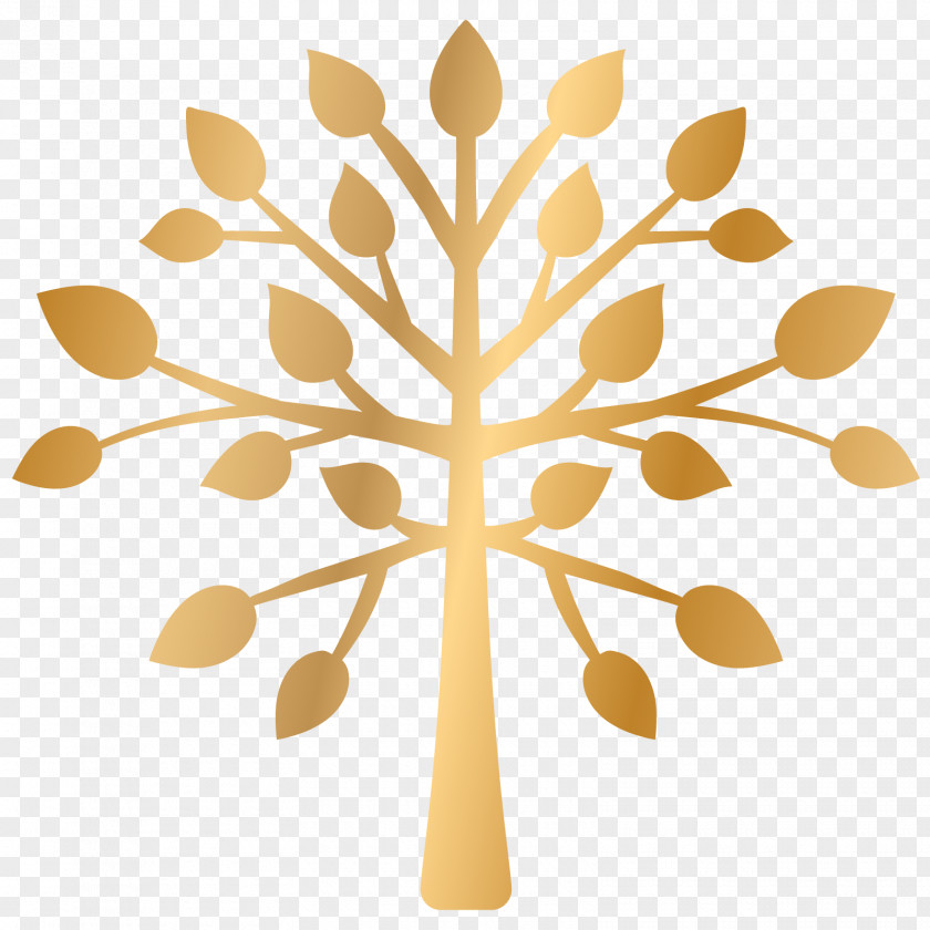 Plant Tree Background Womens Day PNG