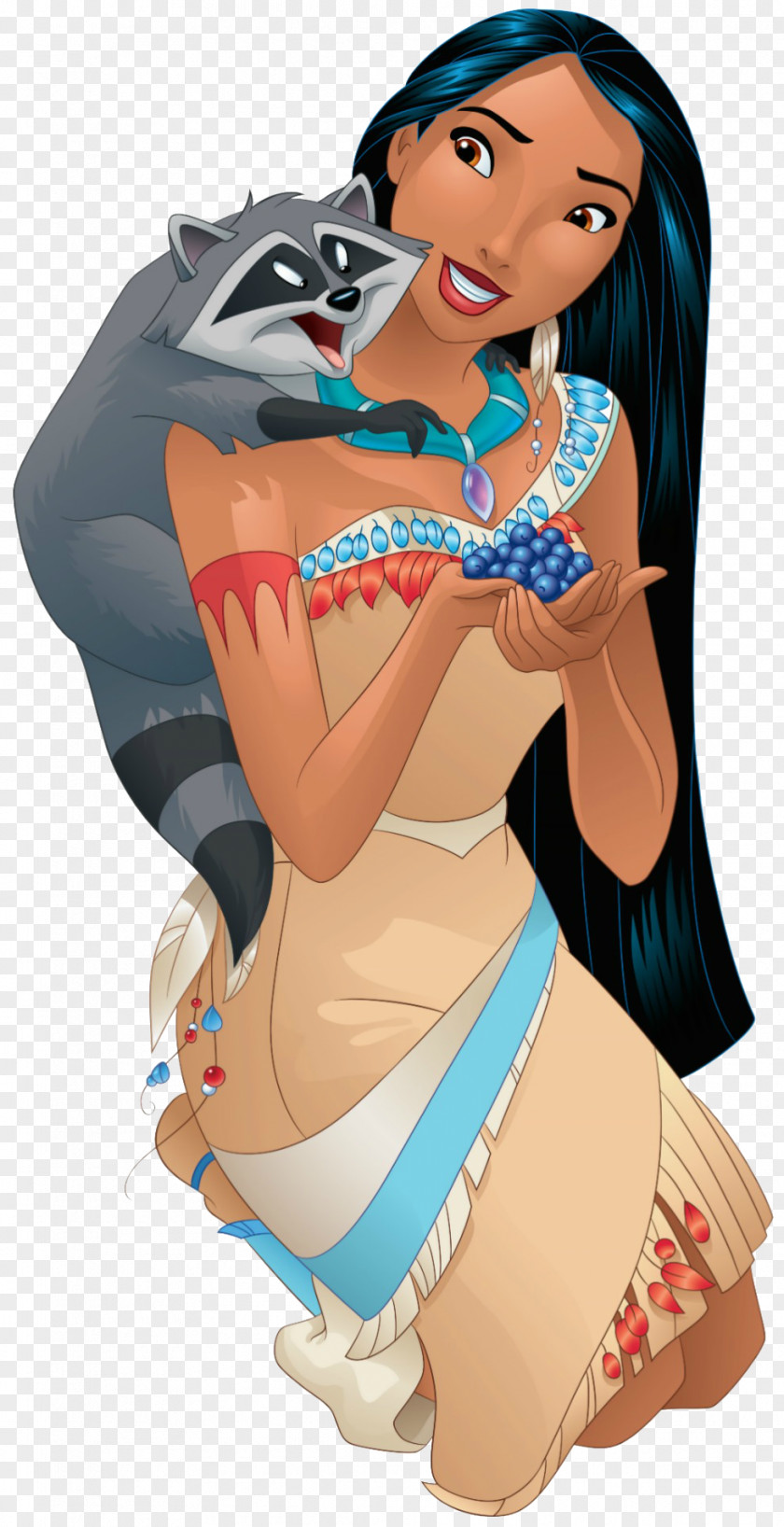 Pocahontas Rapunzel Cinderella Meeko Disney Princess PNG