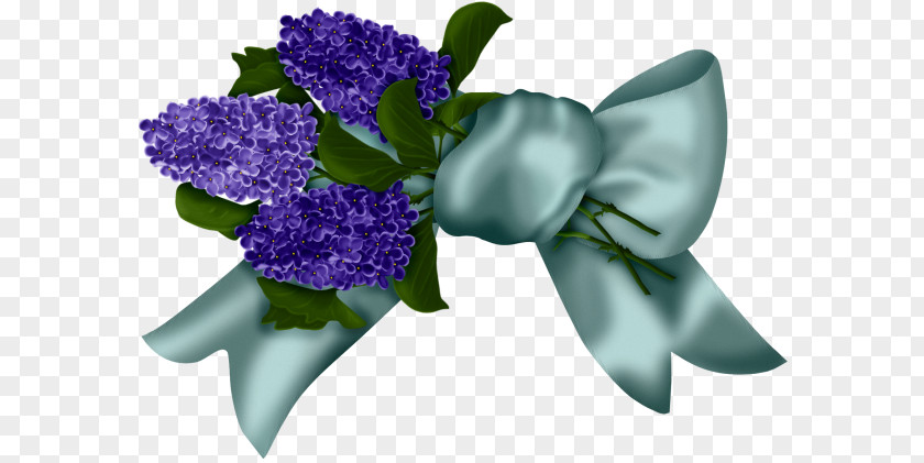 Blog Diary Flower Internet PNG