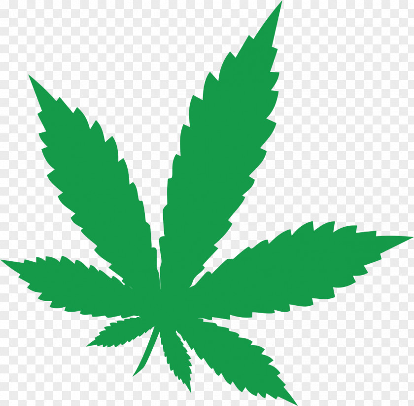 Cannabis Sativa Leaf Cannabaceae Clip Art PNG