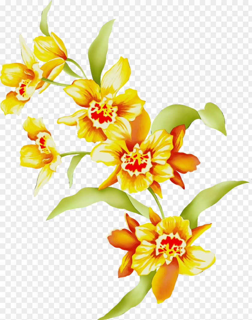 Floral Design PNG