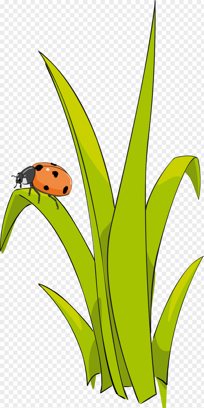 Grass Lawn Clip Art PNG