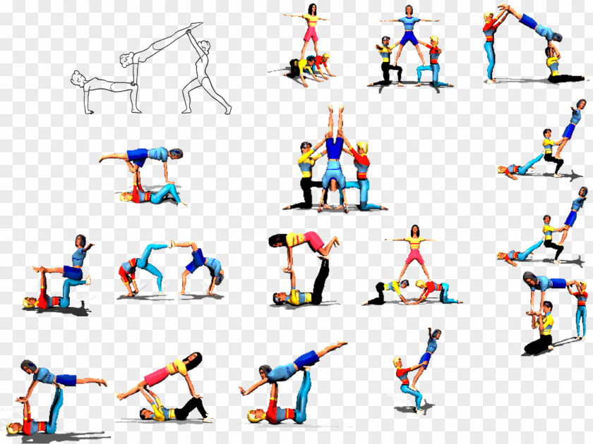 Teacher Physical Education Acrobatic Gymnastics ESO PNG