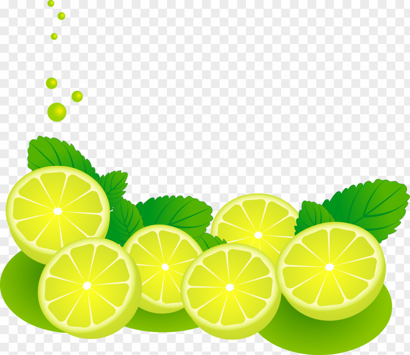 Vector Fresh Lemon Lime Desktop Wallpaper PNG