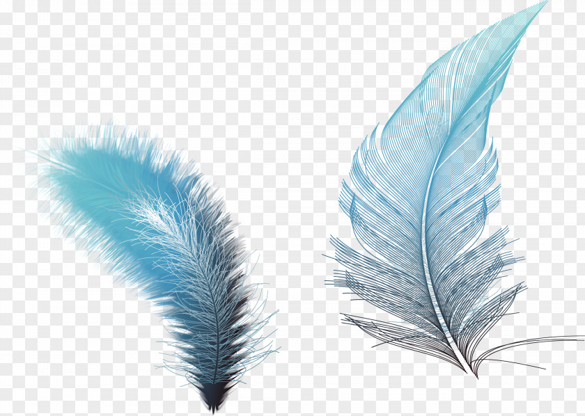 Vector Hand-painted Feathers Feather Euclidean RGB Color Model PNG