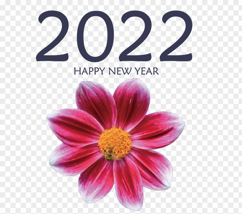 2022 Happy New Year PNG