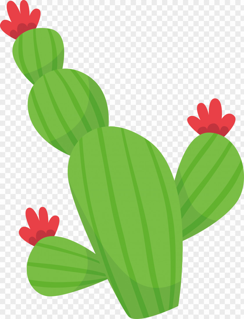 Cactus PNG
