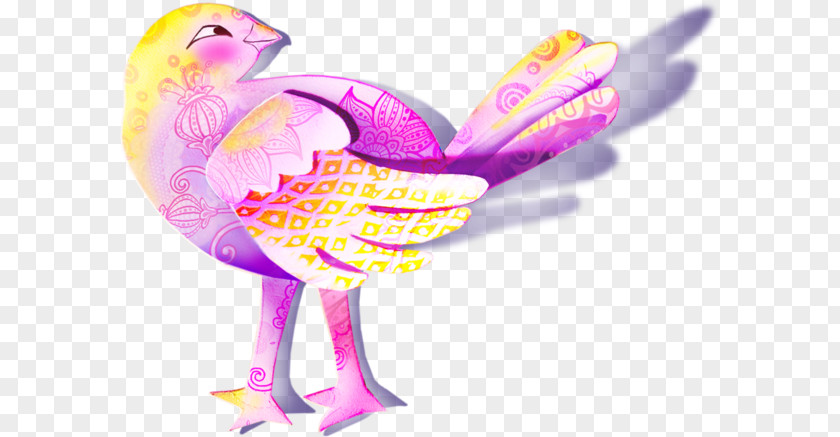 Colorful Birds Bird Owl Chicken PNG