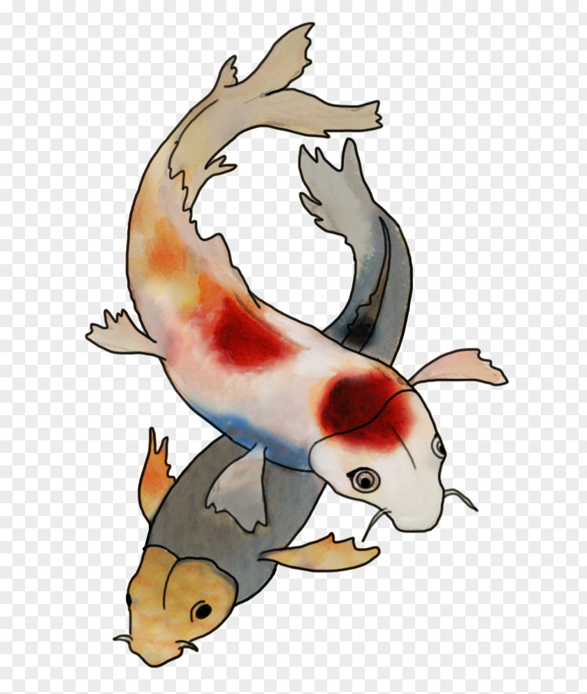 Fish Koi Clip Art PNG