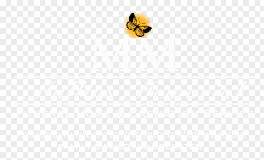 Insect Desktop Wallpaper Body Jewellery Computer Pollinator PNG