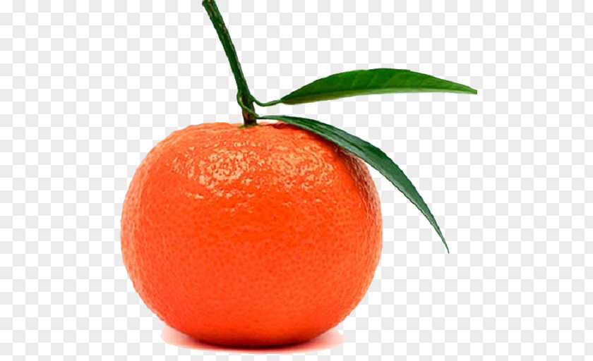 Orange Tangerine Mandarin Balsamic Vinegar Fruit PNG