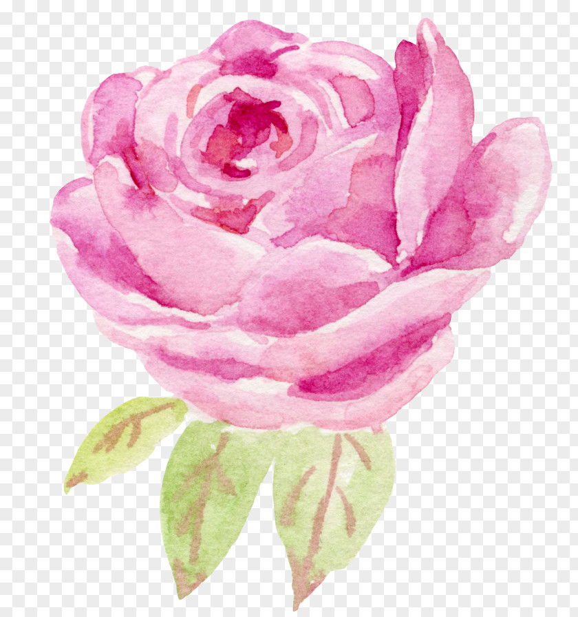 Rose Watercolor Flowers PNG watercolor flowers clipart PNG