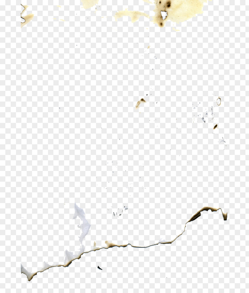 Twig Stain Background PNG