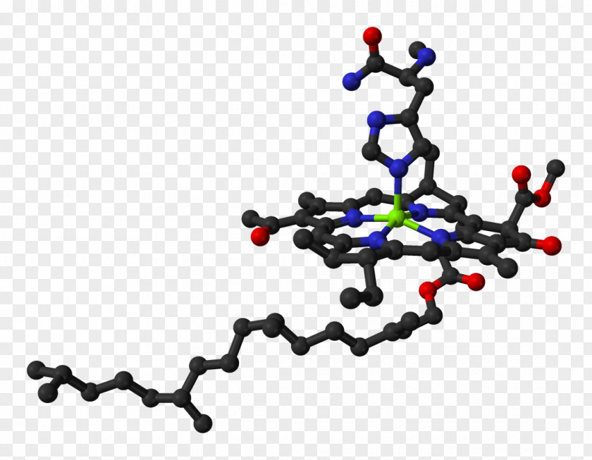 Chlorophyll A Ball-and-stick Model Molecule Chemistry PNG