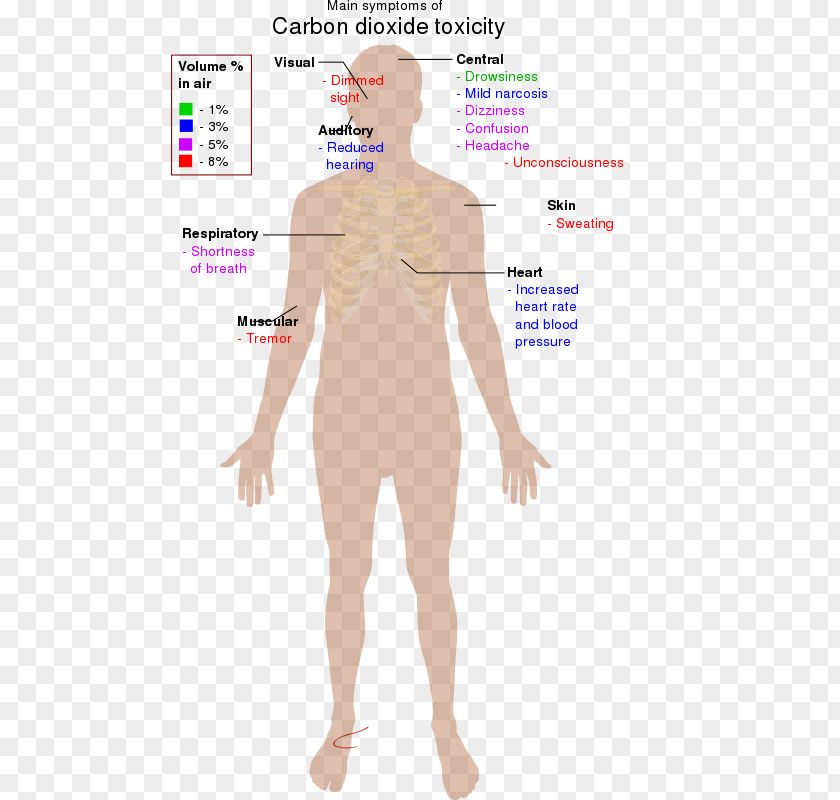 Hypercapnia Carbon Dioxide Clip Art PNG