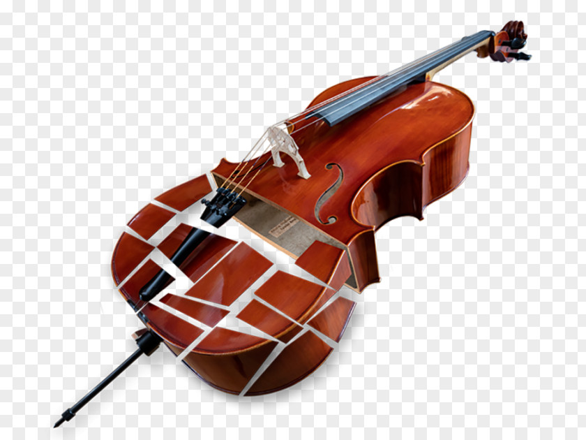 Violin Bass Violone Viola Double Tololoche PNG