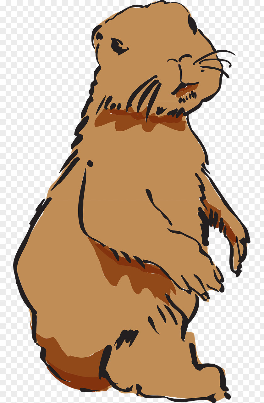 Beaver Rodent North American Brown Rat Clip Art PNG